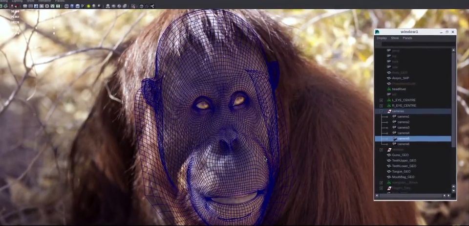Making-of-CG-Orangutan-for-SSE-Commercial-13