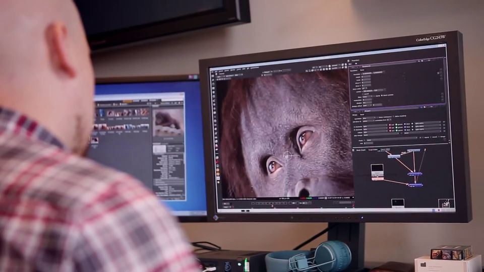 Making-of-CG-Orangutan-for-SSE-Commercial-14